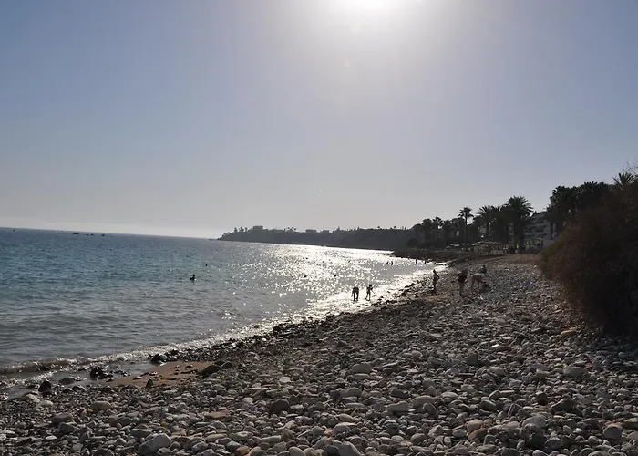 Апартаменты 13